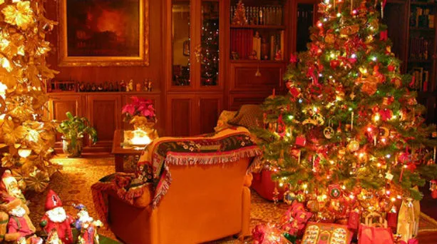Παράξενες Ειδήσεις | 68 χριστουγεννιάτικα δέντρα σε ένα σπίτι!