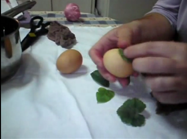 Πάσχα 2012 | Πως να βάψετε αυγά με σχέδια από φύλλα λουλουδιών [video]
