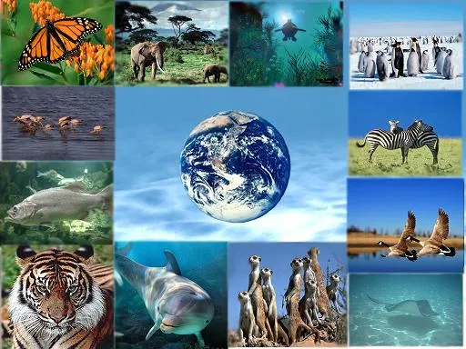22 Μαΐου | Παγκόσμια Ημέρα Βιοποικιλότητας