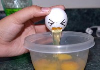 Eggs 13