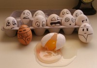 Eggs 6