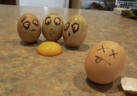 Eggs 7