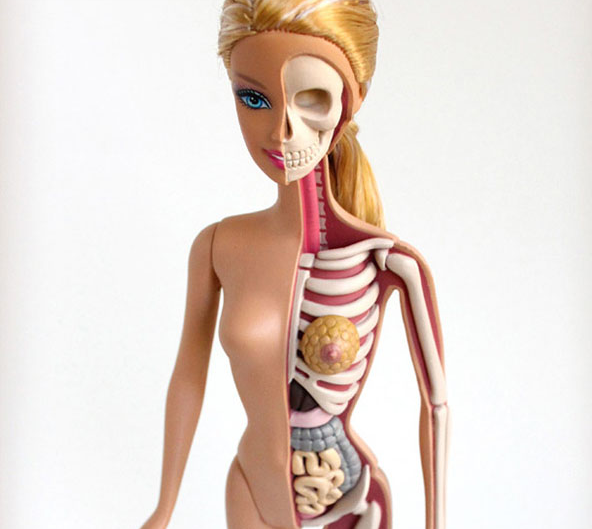 Η ανατομία της Barbie