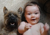 11+1 αποδείξεις ότι τα σκυλιά και τα μωρά είναι οι καλύτεροι φίλοι