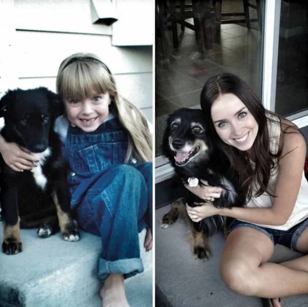 Πριν και μετά: Φωτογραφίες σκύλων από κουτάβια μέχρι σήμερα