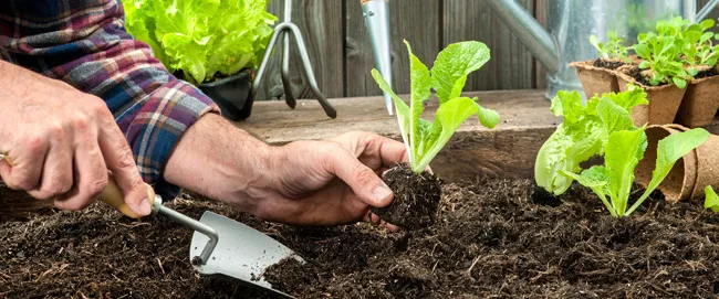 10 tips που θα σε κάνουν καλύτερο κηπουρό! (video+quiz)