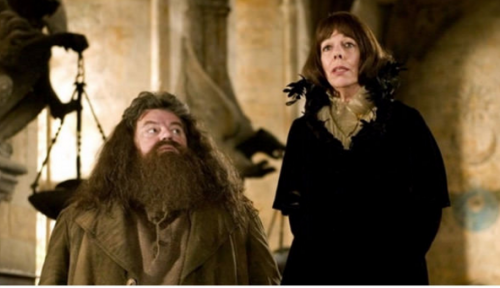 Ηθοποιοί που έπαιζαν στο Harry Potter και εμφανίστηκαν στο Game of Thrones