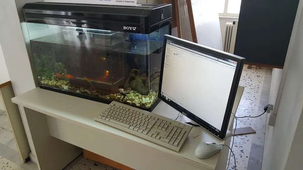 Φοιτητές του Πανεπιστημίου Πελοποννήσου έφτιαξαν PC - ενυδρείο!