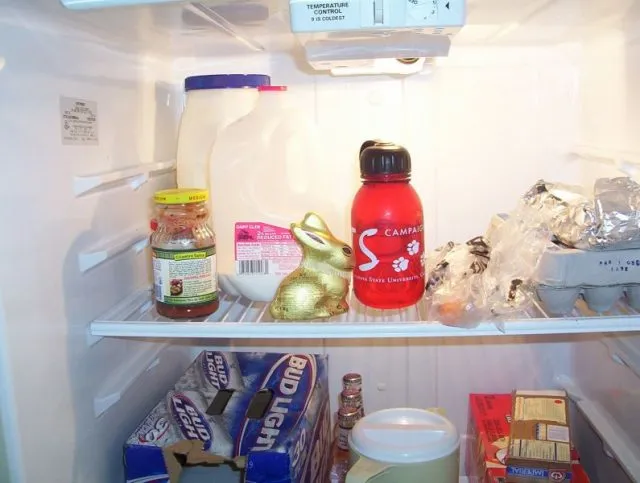 Inside_fridge