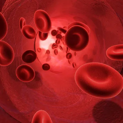 Γιατί υπάρχουν διαφορετικοί τύποι αίματος; (βίντεο)