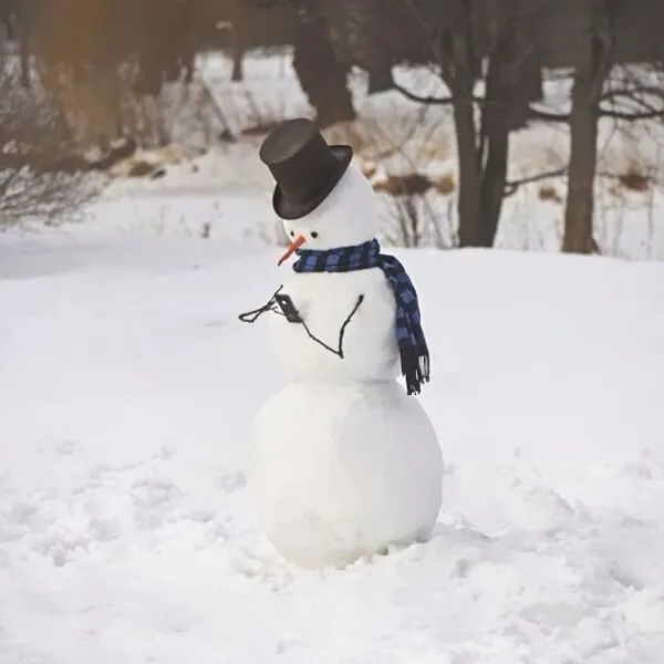 creative-snowman-ideas-46-5853eae865d1e__605 (1)