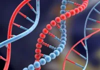 Φουλ για κάμερες και λήψη DNA 