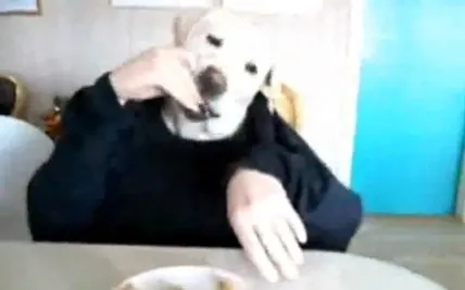 Το video της ημέρας | Ο σκύλος που τρώει με τα χέρια!