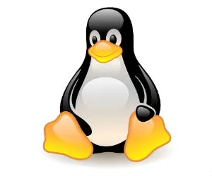 Συμβατό με Linux το uTorrent