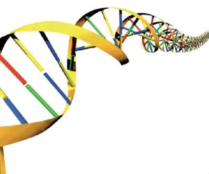 Έρευνα | Γονίδια μπορούν να προβλέπουν τη μακροζωία