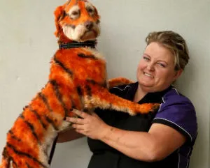 Έβαψε το σκύλο της τίγρη για...πλάκα!
