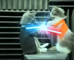 Οι γάτες που παίζουν Star Wars!