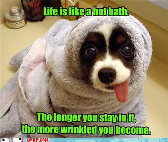 Η ζωή είναι σαν ζεστό μπάνιο (quote)