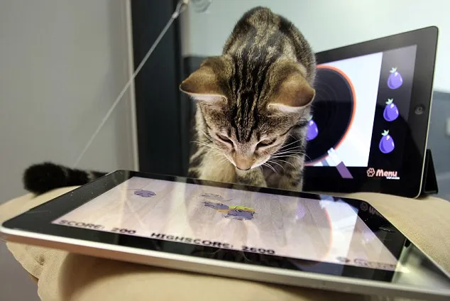 Εφαρμογή στο iPad για...γάτες!
