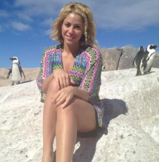 Shakira | Επίθεση από θαλάσσιο λιοντάρι! (wow)