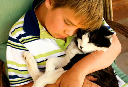 4 Ιουνίου | Ημέρα Αγκαλιάς με τη Γάτα!