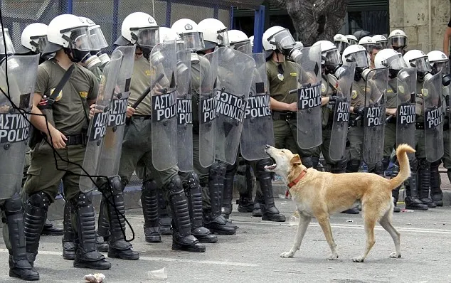 Λουκάνικος | Ο σκύλος-επαναστάτης έγινε... bar!