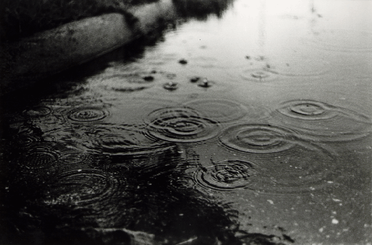 29 Ιουλίου | Ημέρα της Βροχής