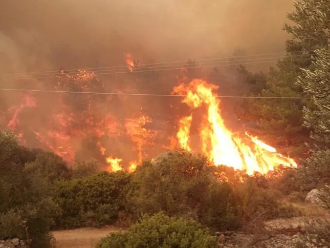 Χίος | Εκκενώνονται χωριά εξαιτίας μεγάλης πυρκαγιάς