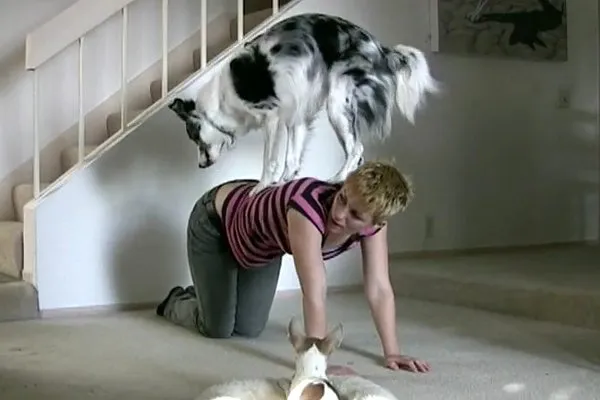 Σκύλοι που κάνουν γυμναστικές επιδείξεις! (video)