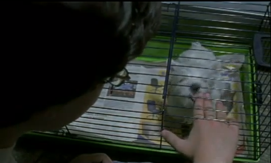 Pet Shop | Η πιο συγκινητική ταινία μικρού μήκους