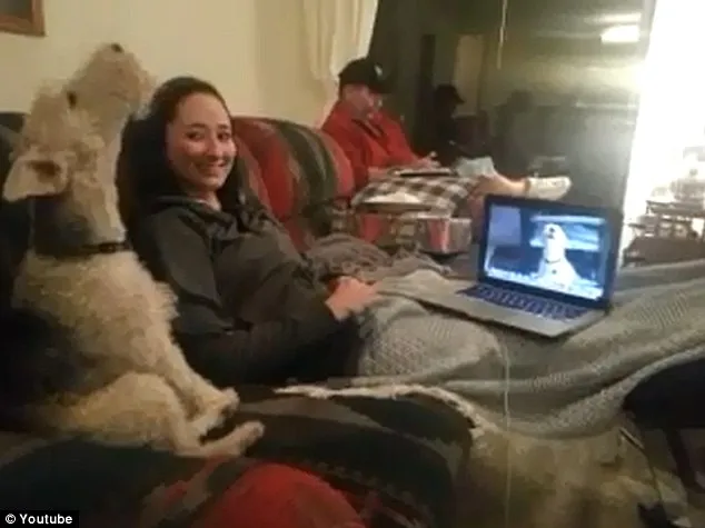Όταν δύο σκυλιά επικοινωνούν μέσω Skype! [video] 