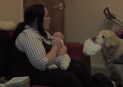 Σκύλος βοηθάει μαμά με αναπηρία να αλλάξει πάνα στο μωρό της [video] 