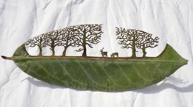 Απίστευτα δημιουργήματα σε φύλλα δέντρων!
