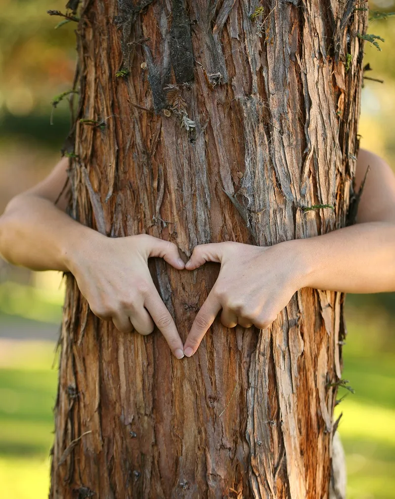 16 Μαΐου | Ημέρα που δείχνουμε την αγάπη μας στα δέντρα! 