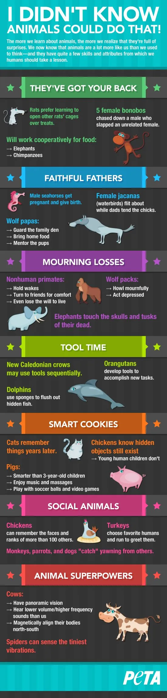 Πράγματα που κάνουν τα ζώα και δεν τα ξέρουμε [infographic]