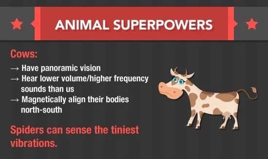 Πράγματα που κάνουν τα ζώα και δεν τα ξέρουμε [infographic]