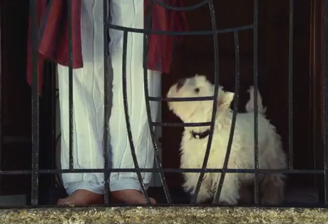 Συγκινητική διαφήμιση με πρωταγωνιστή ένα σκυλάκι! [video] 
