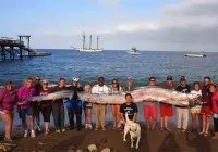 Τεράστιο ψάρι 5,5 μέτρων από τα βάθη του ωκεανού στην ακτή