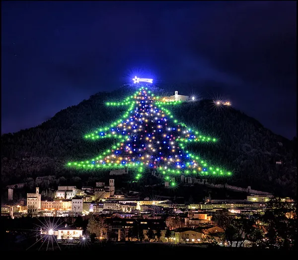 Το μεγαλύτερο χριστουγεννιάτικο δέντρο του κόσμου!