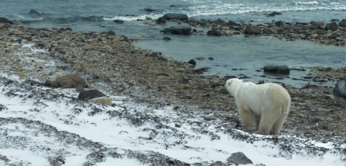 Google Street View: Χαρτογραφώντας τον Αρκτικό κύκλο  