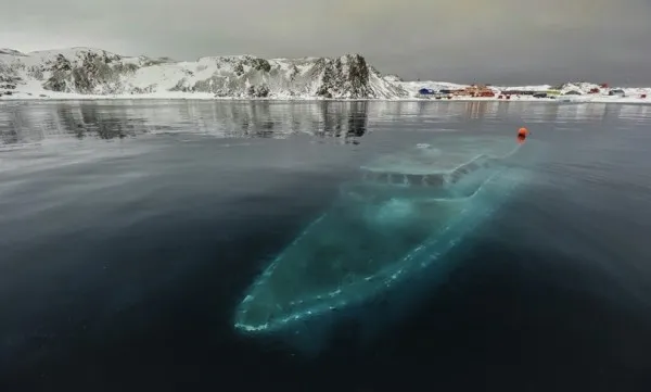 Τι βρίσκεται κάτω από τους πάγους της Ανταρκτικής; (vid)