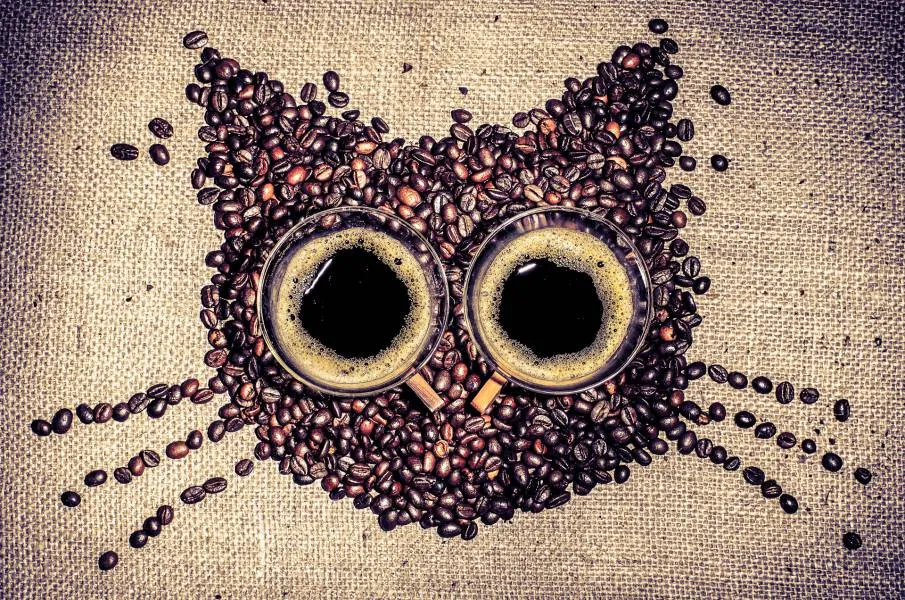 5 λάθη που κάνεις και χαλάς τη γεύση του καφέ! #caffelatte