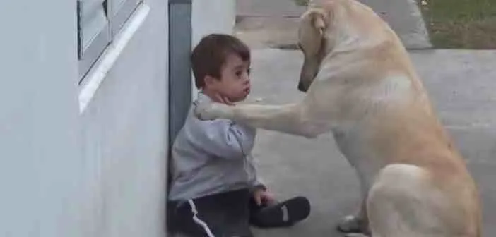 Ένα απίστευτο βίντεο: Σκυλίτσα επικοινωνεί με μωρό με σύνδρομο Down! 