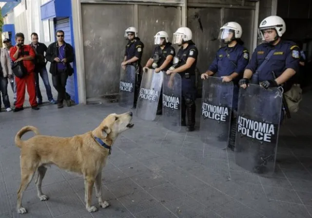 Έφυγε ο Λουκάνικος, ο θρυλικός σκύλος των διαδηλώσεων 