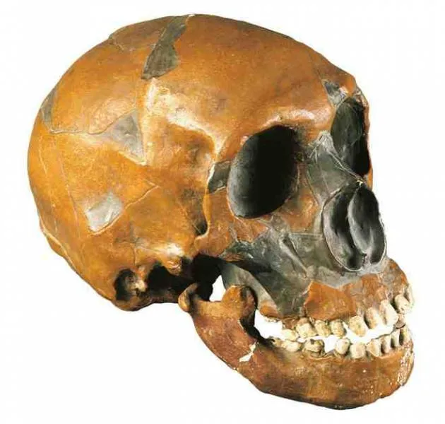NeanderthalEpigenome
