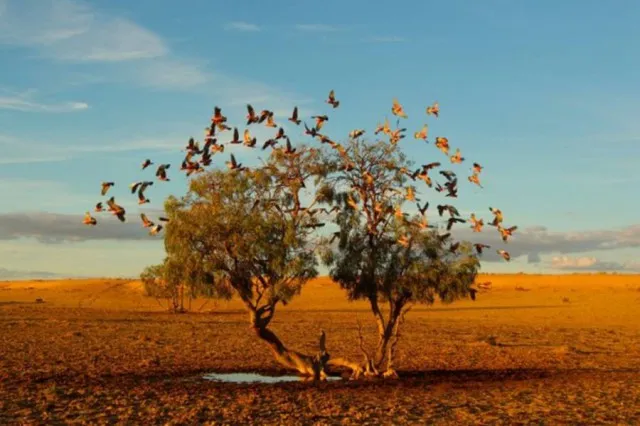 Strezlecki Desert, Australia