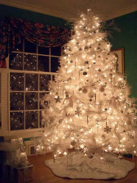 Όταν τα ζώδια στολίζουν το Χριστουγεννιάτικο δέντρο... 