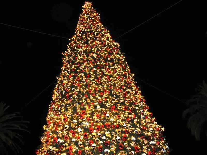 hd-christmas-tree-backgrounds-1