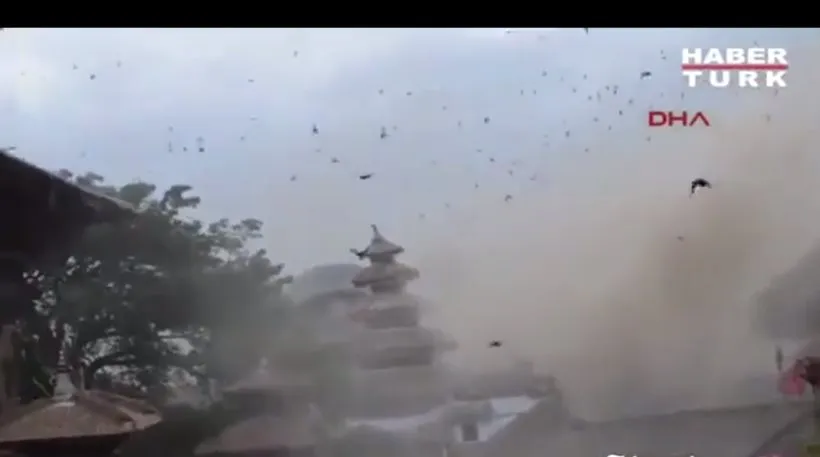 Νεπάλ: Ένα βίντεο καταγράφει την αντίδραση των πουλιών την ώρα του σεισμού!