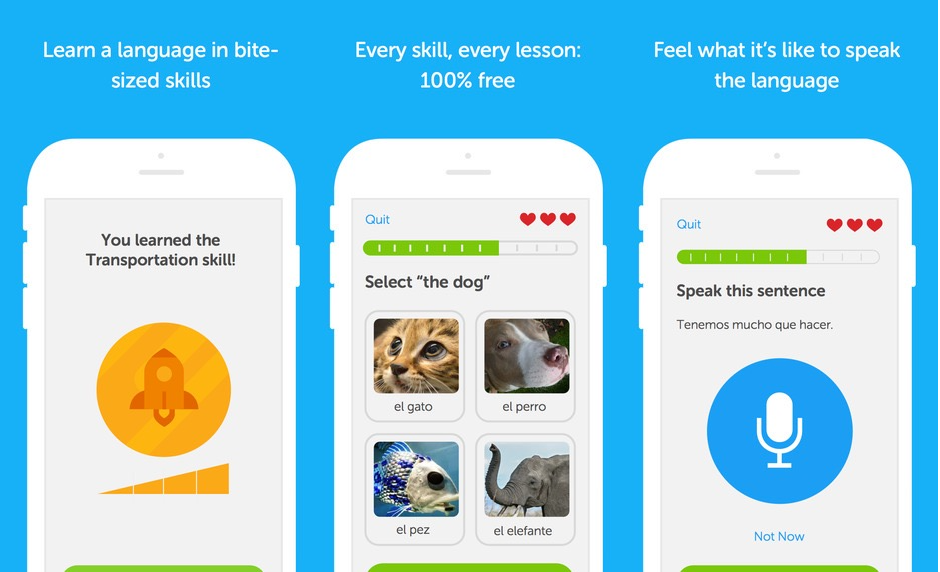 duolingo-will-help-you-learn-another-language